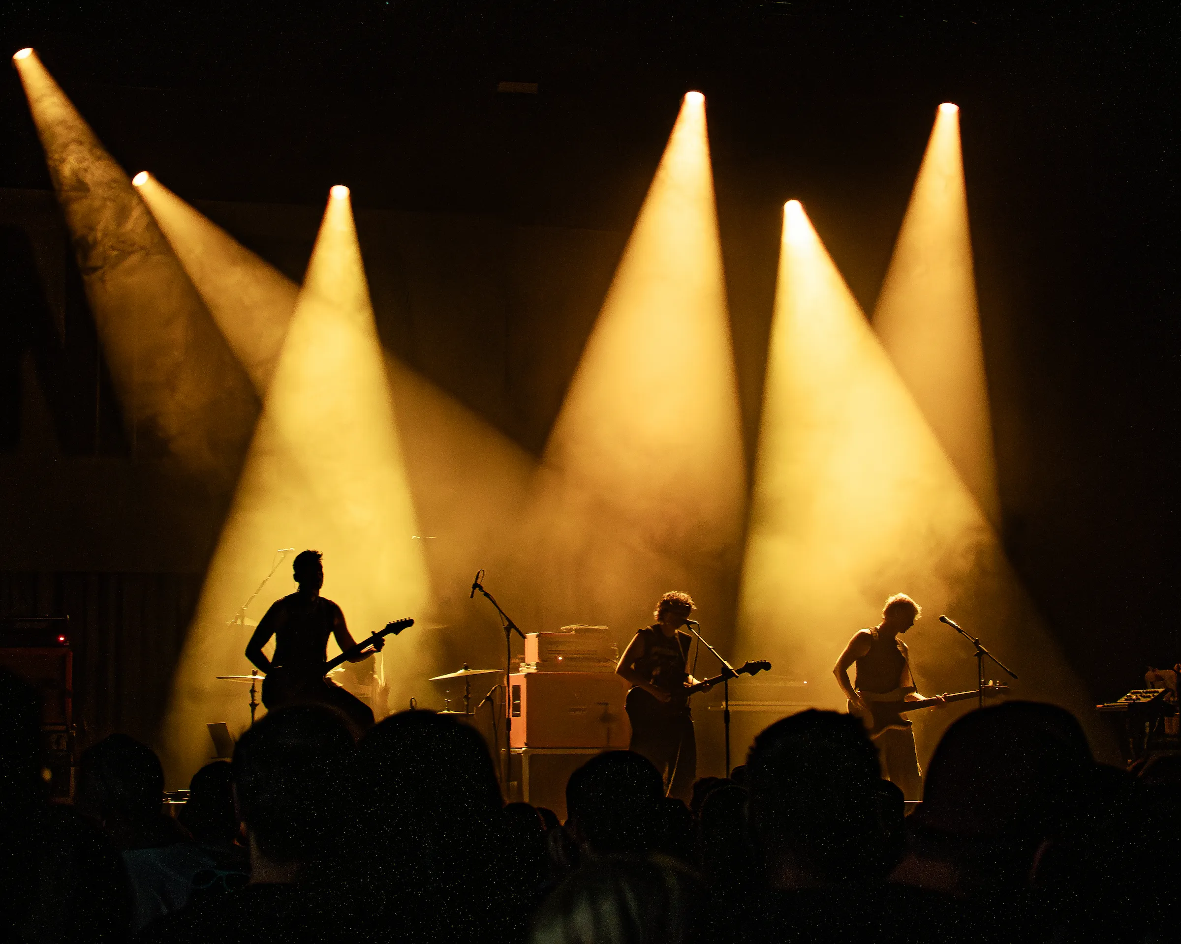 Vocalist concert photography